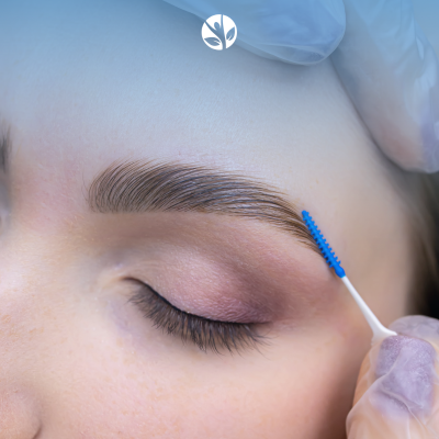 Imagen del curso Planchado de Cejas y Tinte con Henna